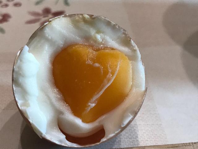 코베른곤도르프 Bauernstube Scheidterhof 아파트 외부 사진