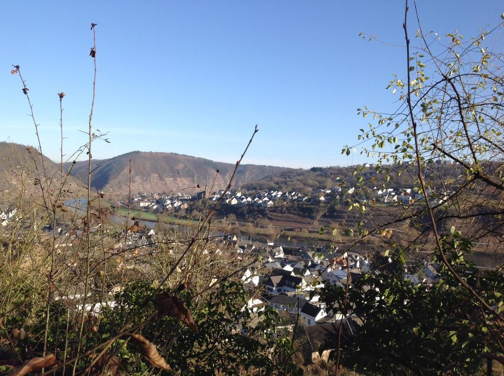 코베른곤도르프 Bauernstube Scheidterhof 아파트 외부 사진